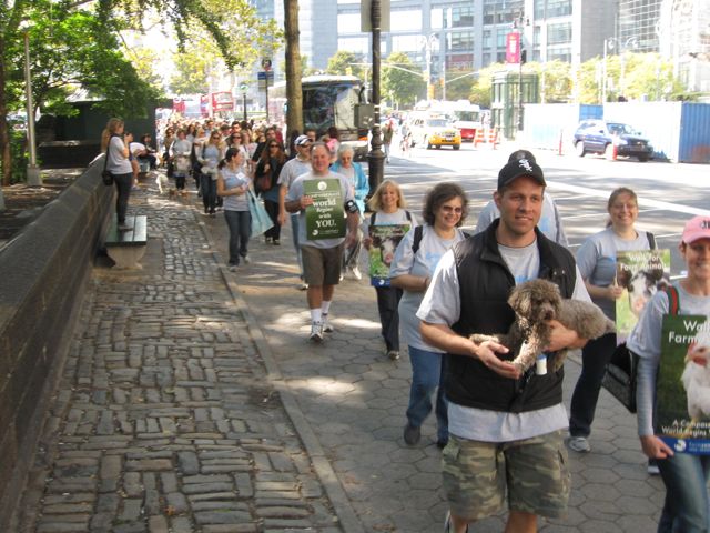 NYC Walk for Farm Animals gets underway