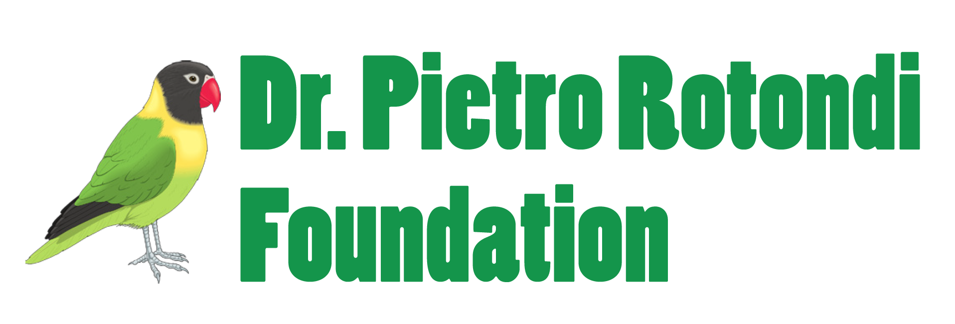 The Dr. Pietro Rotondi Foundation